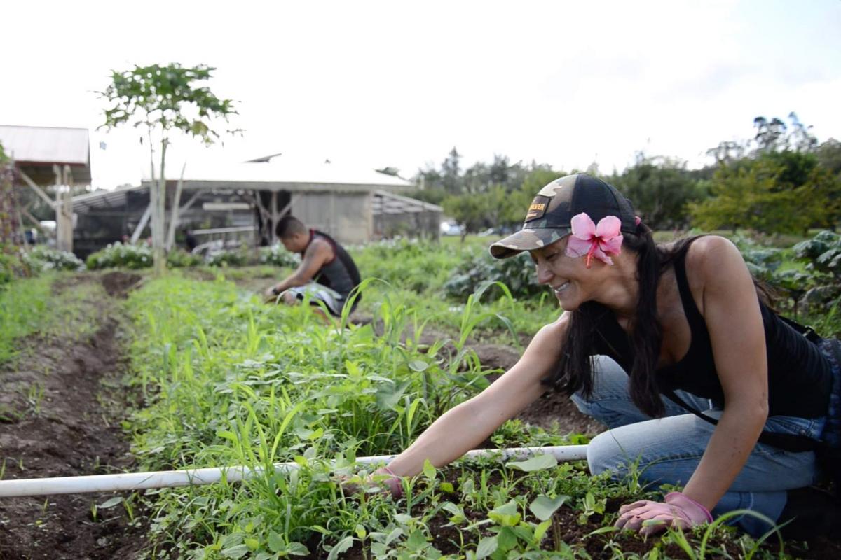 Agriculture