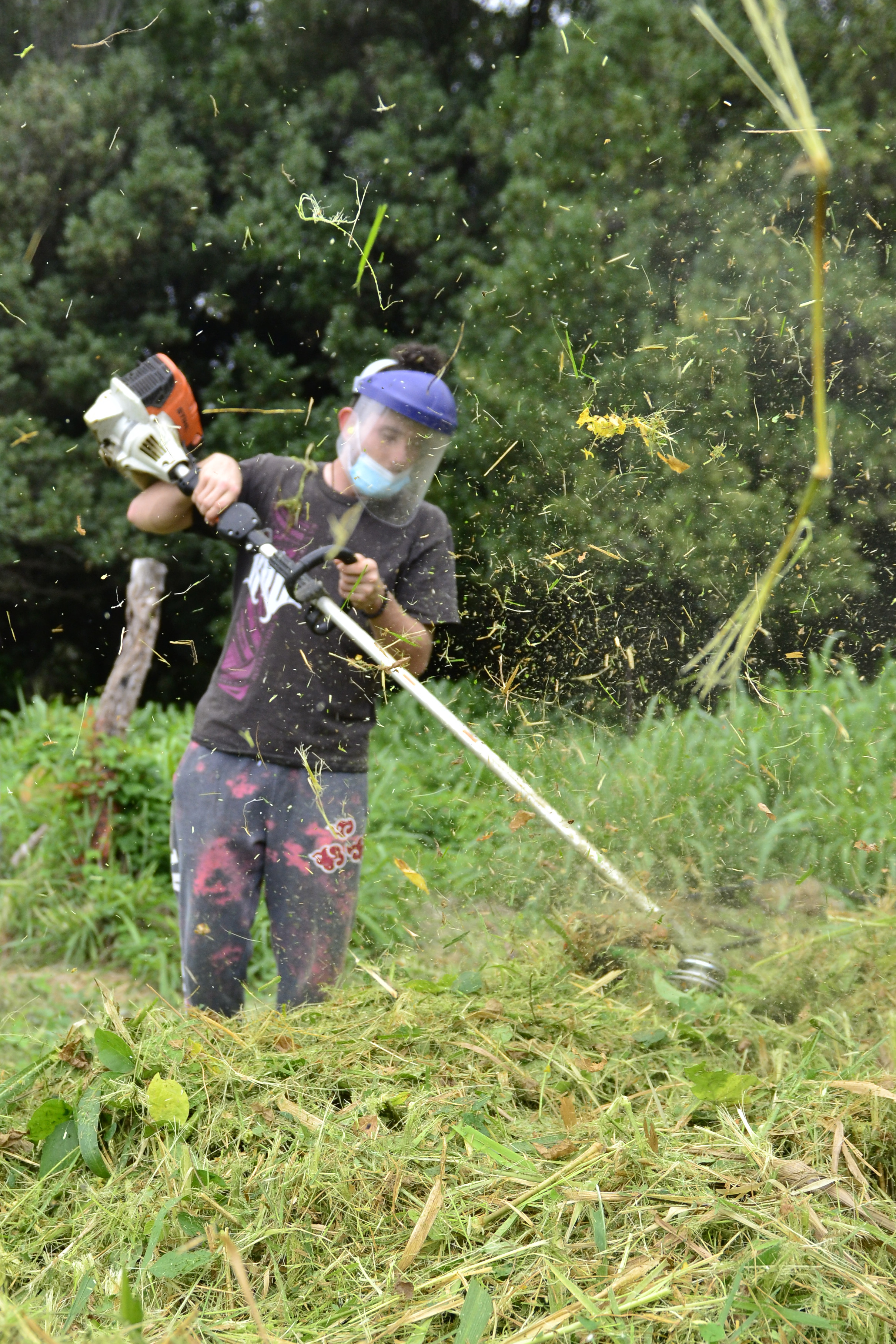 weed whacking photo