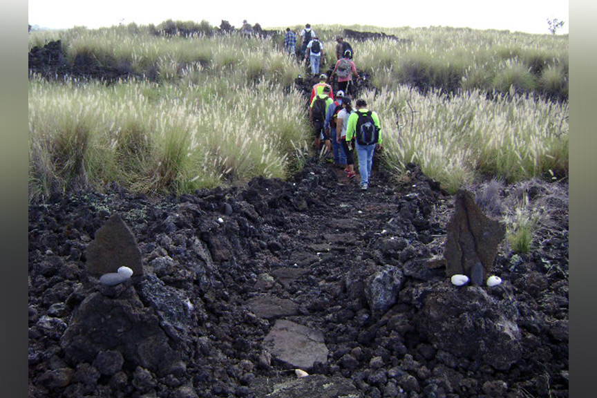 Students exploring a field