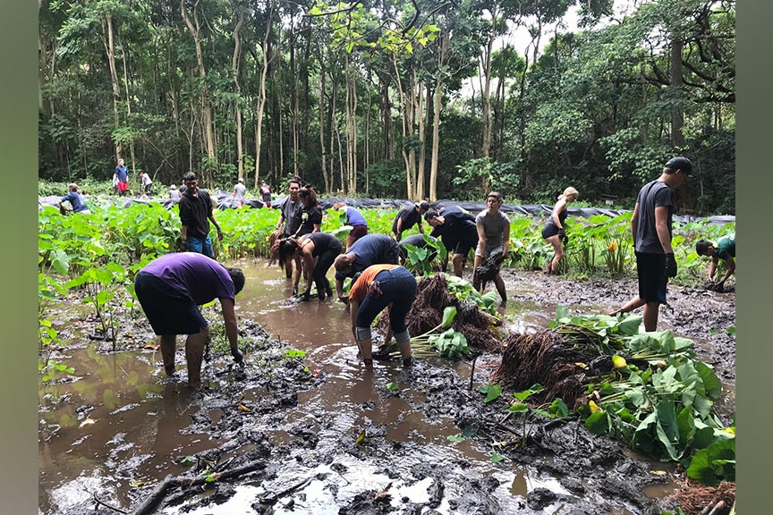 Group photo of students working