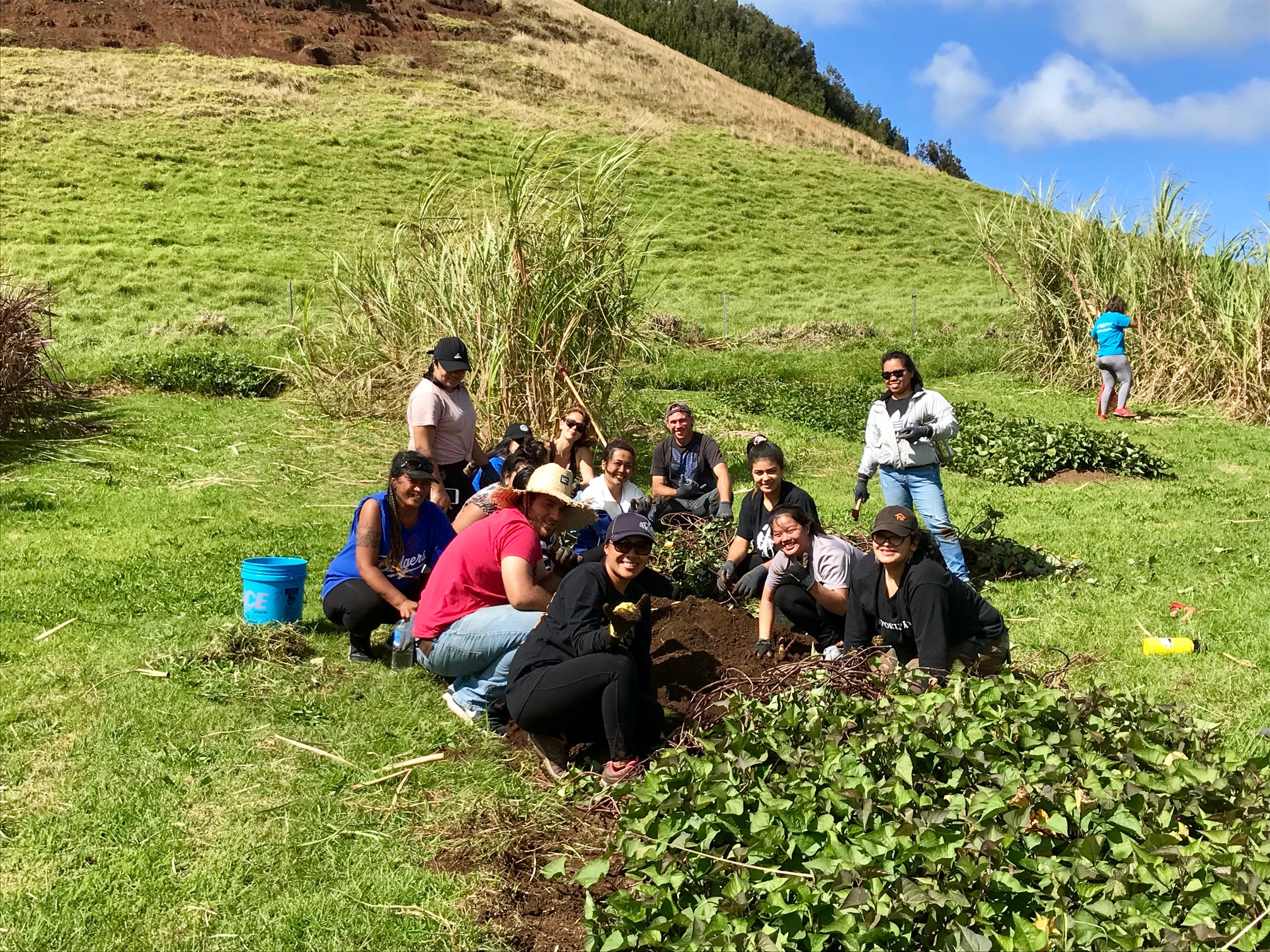 Group photo of students working
