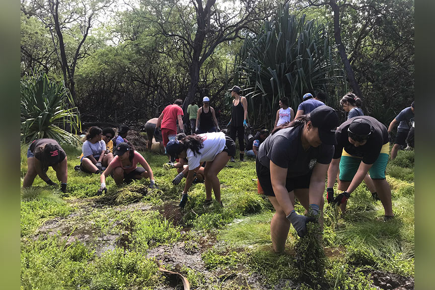 Group photo of students working