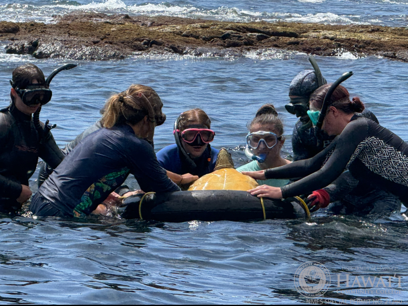 MOP strives to offer marine science opportunities to our local communities to educate the next generation of stewards in ocean science.