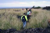 Students exploring a field